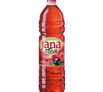 JANA Eistee Waldfrüchte PET 6×1.5L (Stk.1.42)