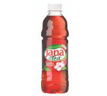 JANA Eistee Hibiskus PET 4x(6×0.5L) (Stk.0.90)